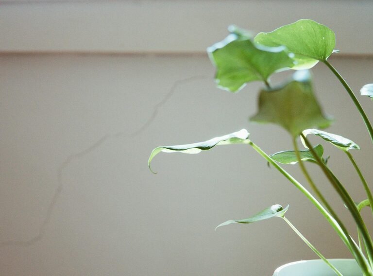 Simple Ways to Reduce Noise at Home for a Peaceful Living